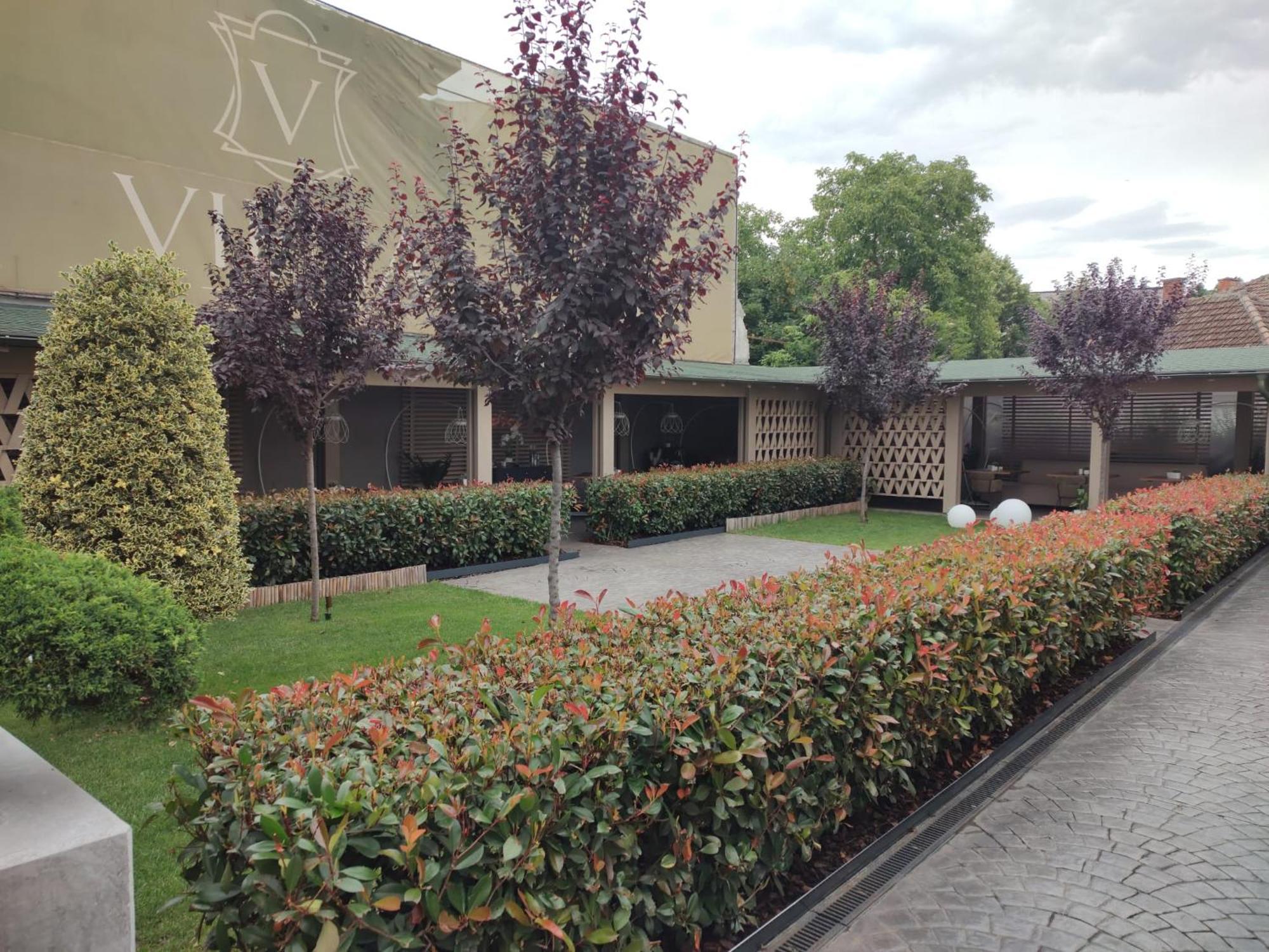 סאטו מארה Hotel Viena מראה חיצוני תמונה